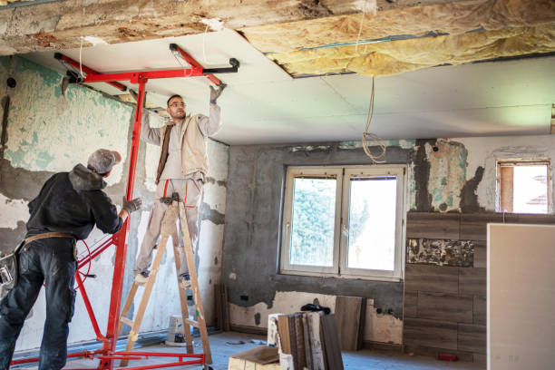 Best Geographic-Specific Insulation Services in Arp, TX